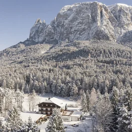 Schneebedecktes Haus vor bewaldetem Bergmassiv unter klarem Himmel