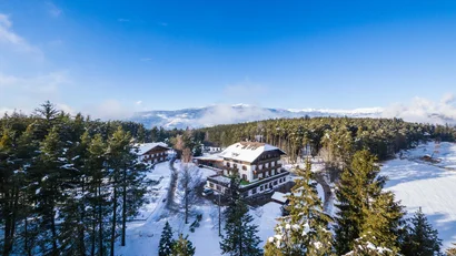 Winterlandschaft mit schneebedecktem Wald und Häusern unter blauem Himmel