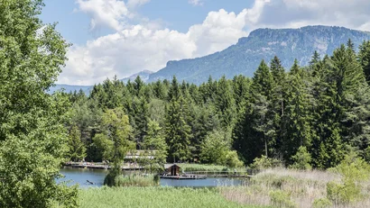 See mit Steg, umgeben von Bäumen und Bergen bei klarem Himmel