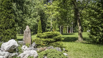 Grüner Park mit Bäumen, Sträuchern und Steinen bei sonnigem Wetter