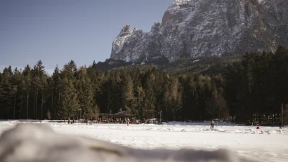 Schneebedeckte Berglandschaft mit Nadelwald unter klarem Himmel